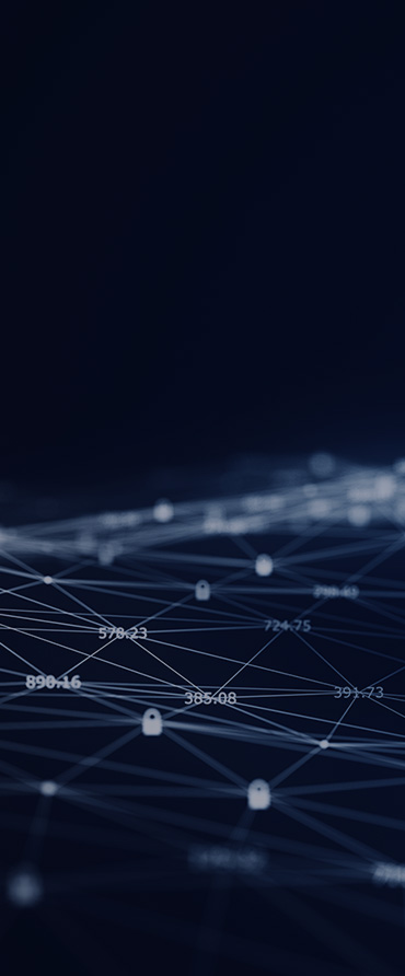 脆弱性管理システムの開発