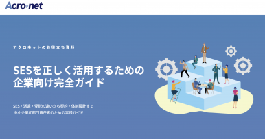 SESを正しく活用するための企業向け完全ガイド
